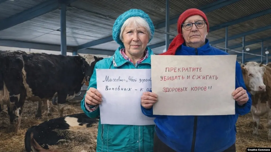 Глава аграрного ведомства Новосибирской области лишился должности после претензий к работе министерства и резонансной кампании по изъятию и забою крупного рогатого скота, вызвавшей протесты фермеров в регионе и соседних субъектах.