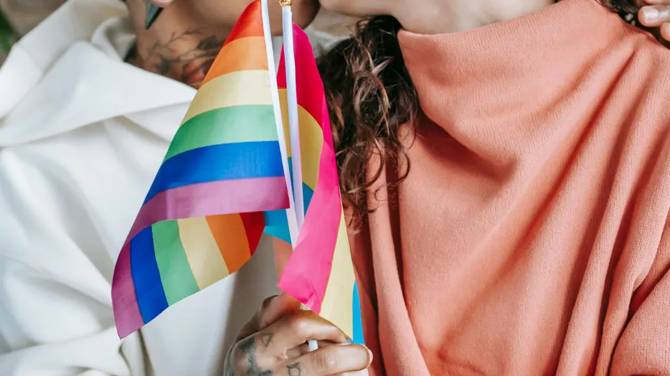 За последние месяцы российские суды запретили ряд ЛГБТ‑инициатив и организаций, еще несколько сообществ ждут решений судов. Правозащитники считают это частью кампании репрессий, власти ссылаются на защиту традиционных ценностей.