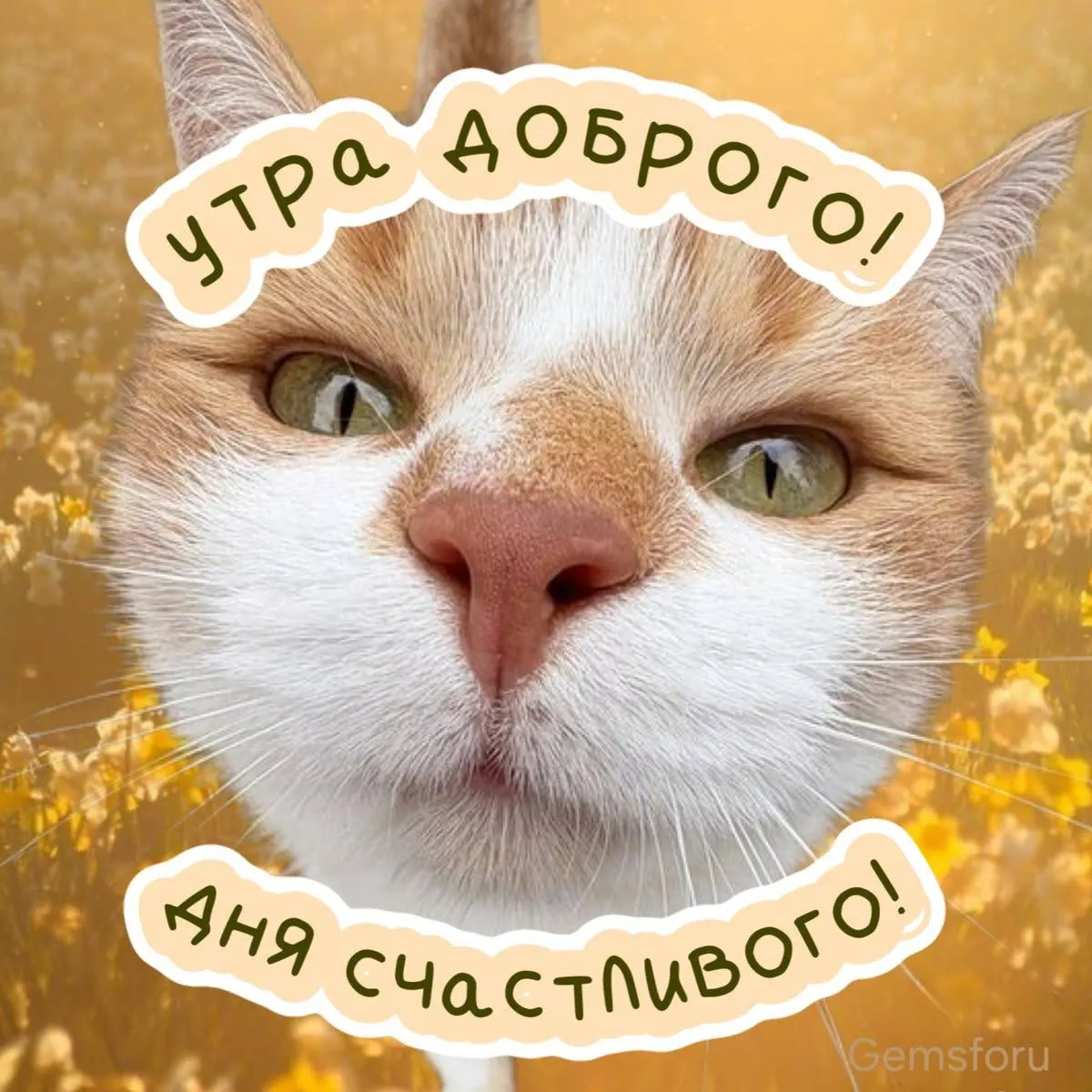Переменная облачность, дневная температура может подняться до +29°С. Желаем лёгкого и приятного дня.