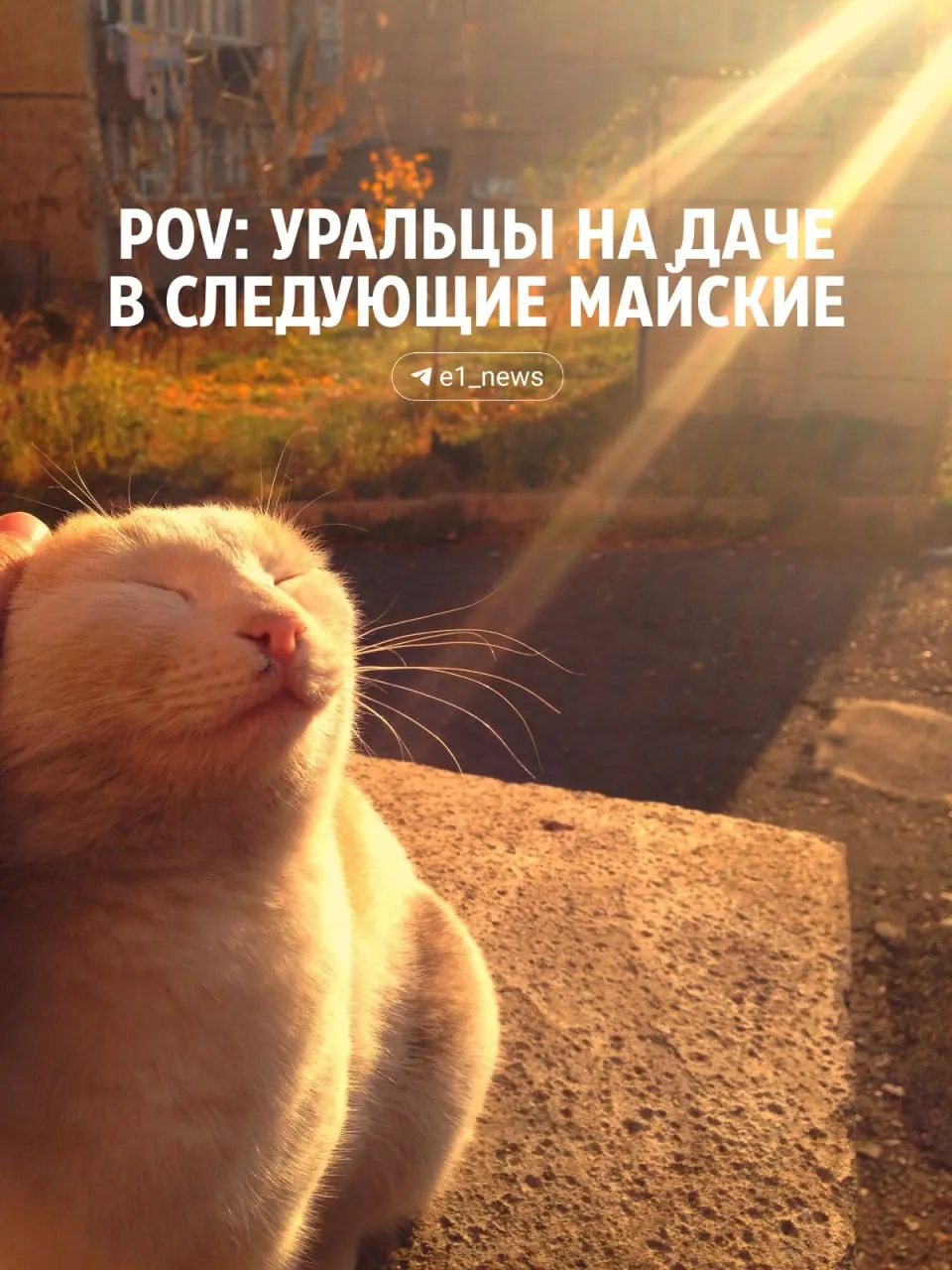 Осадки прекратятся уже 3 мая, а на следующей неделе в регионе установится тёплая погода: в Екатеринбурге воздух прогреется до +25°С.