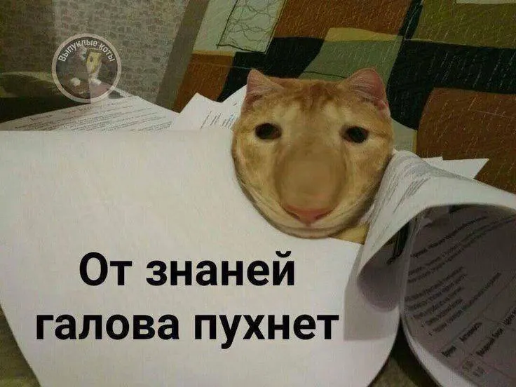 Минспорт планирует ввести в комплекс ГТО норматив по пилотированию небольшого дрона — тестовый запуск могут провести в этом году, с следующего года знак по этому испытанию будет доступен по всей стране и даст до 10 баллов к результатам экзамена.
