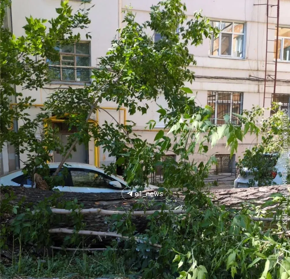Сильный ветер повалил несколько деревьев во дворе на Горького, 29. Жителей просят быть внимательнее и делиться кадрами при похожих случаях.