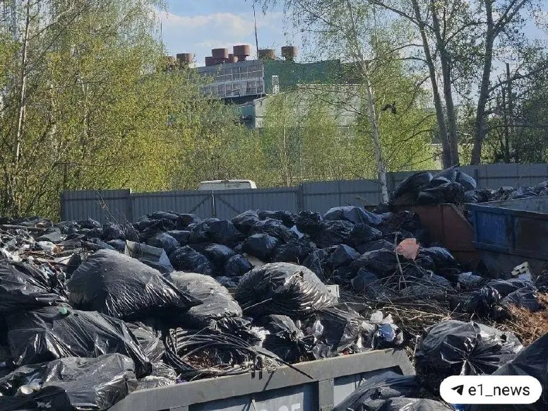 После проверки первого заместителя главы города мусор оперативно вывезли. По итогам проверки один специалист уволен, ещё одному вынесен строгий выговор.