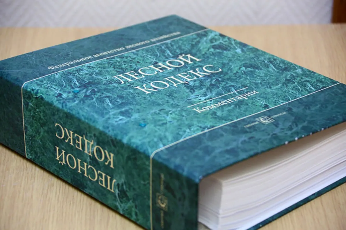 Кодекс 2006 года претерпел 79 пакетов поправок; эксперт по лесам Алексей Ярошенко считает, что документ фактически устарел и требует полной замены, упрощения и существенного сокращения.