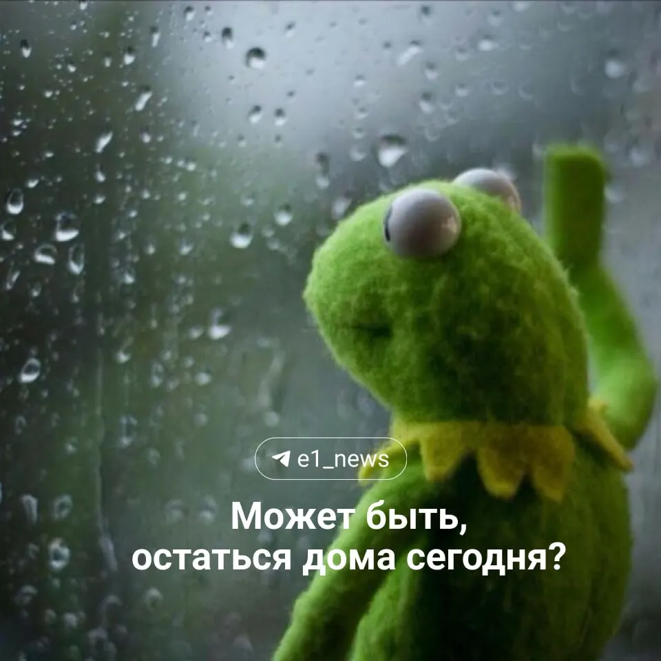 Небольшой дождь утром, днём ожидается до +20°С. Завтра похолодает до ~+16°С и усилится ветер — порывы до 16 м/с.