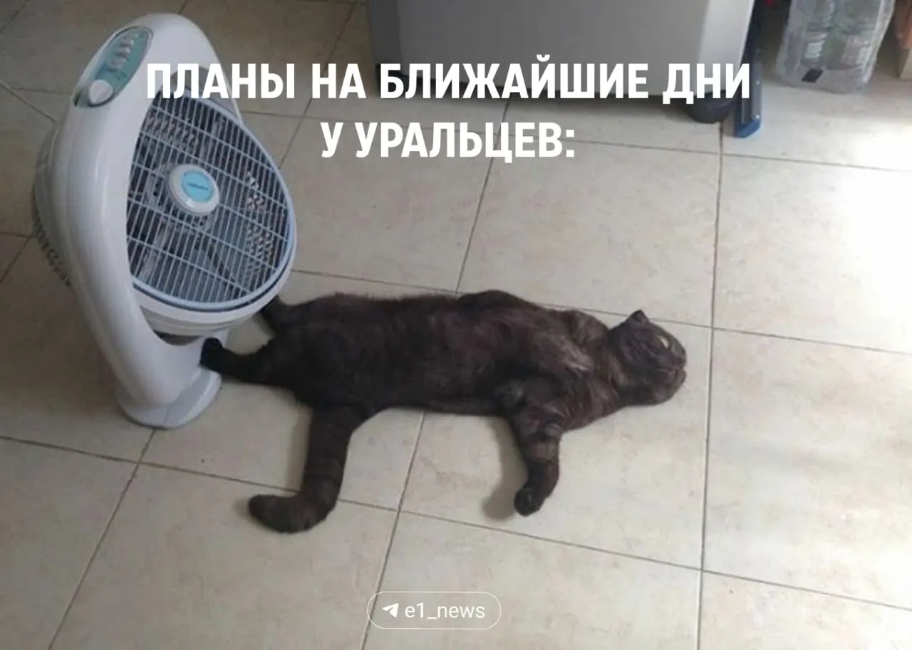 До вторника — до +28 °C, в среду возможна гроза и до +29 °C. После этого дневная температура упадёт до +22…+24 °C, ночами +10–12 °C.