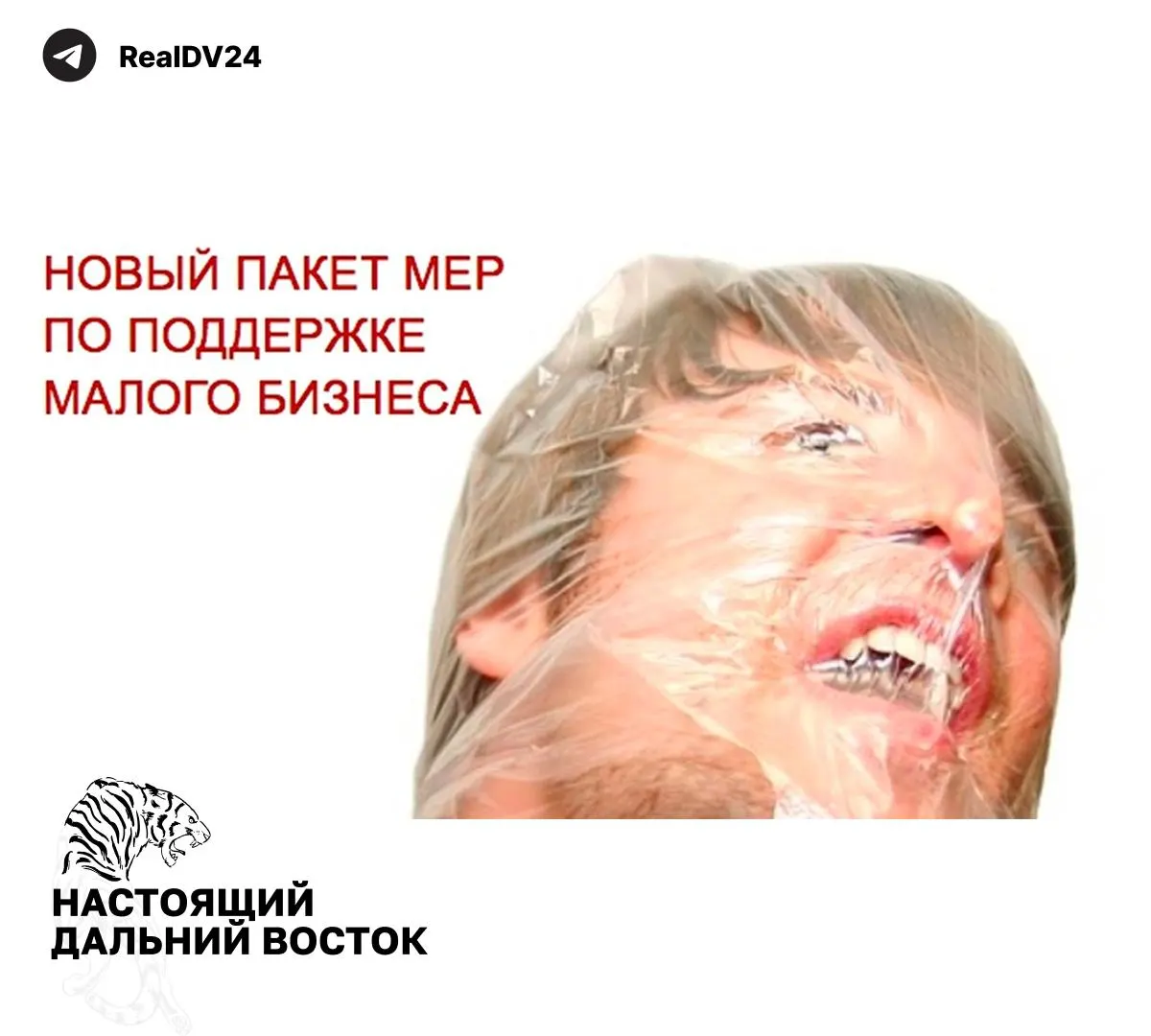 Федеральная налоговая служба разослала регионам набор мер для увеличения налоговых поступлений: расширение налогооблагаемой недвижимости, рост транспортного налога, пересмотр льгот и усиление контроля за землепользованием.