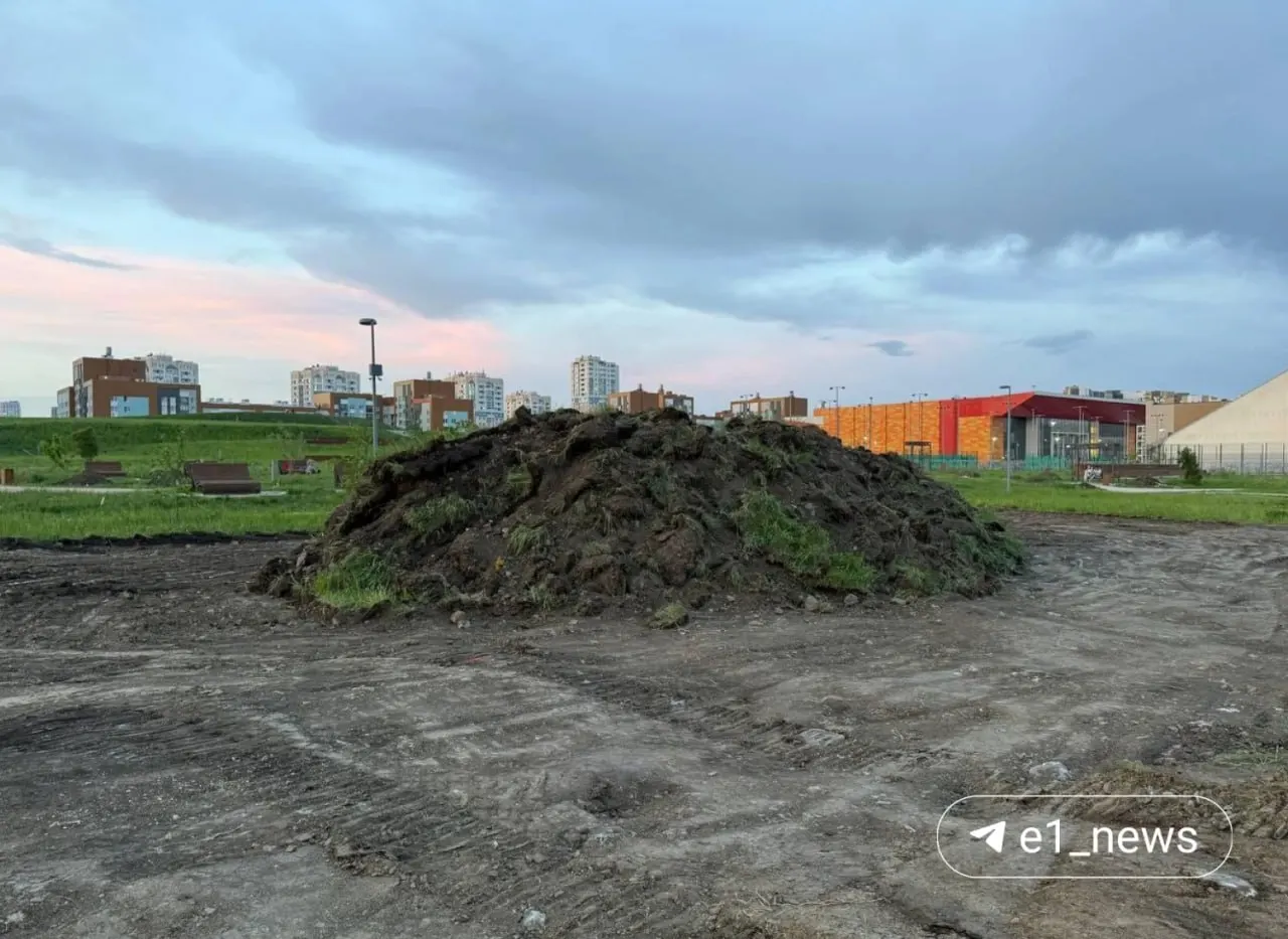 В парке появились строительная техника и вырытые лунки: администрация района сообщает, что здесь посадят деревья и обустроят две спортивные и одну детскую площадки.