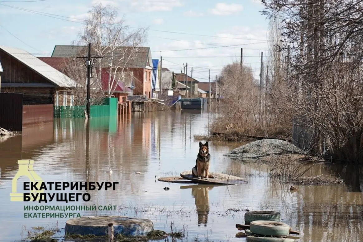 Затяжные дожди и подъём воды в реках затопили мосты и участок дороги — без проезда остались 17 населённых пунктов. Власти перешли в режим повышенной готовности.