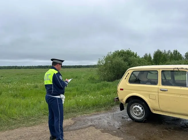31 мая под Сухим Логом 66‑летний водитель не справился с управлением на грунтовой дороге, съехал в болото и погиб до приезда медиков.