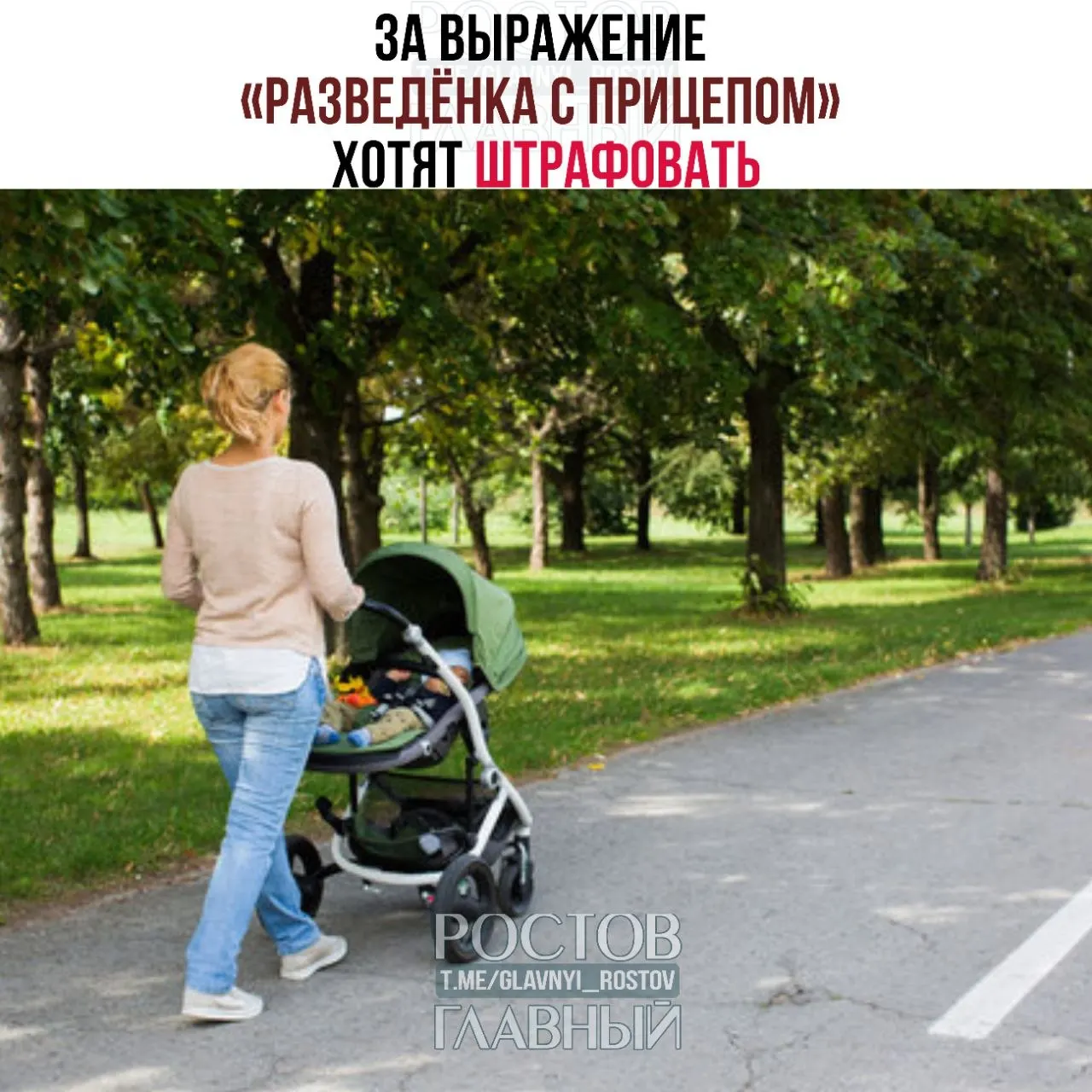 Депутаты объясняют, что выражение «разведёнка с прицепом» носит женоненавистнический и уничижительный характер; инициативу сейчас изучают юристы и эксперты, и в случае одобрения за её публичное использование могут ввести штрафы.