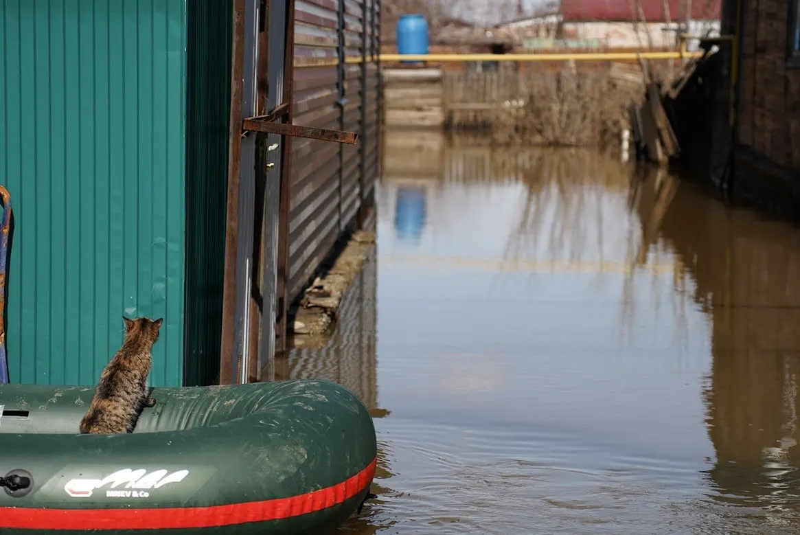 С 10 по 15 июня в большинстве водоёмов Свердловской области прогнозируется резкий подъём уровня воды. Экстренные службы и муниципалитеты переведены в режим повышенной готовности.