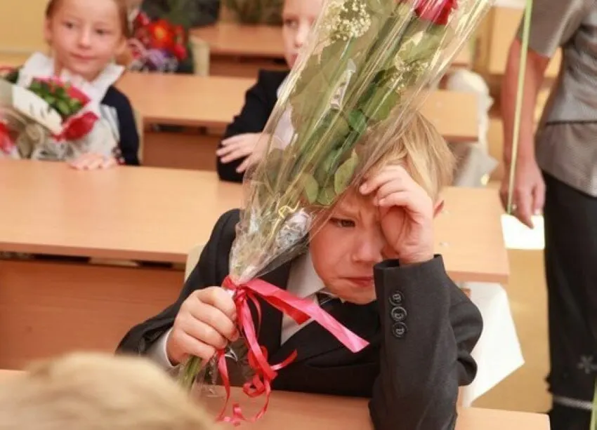 Замглавы Минпросвещения сообщил, что 11 лет — оптимальная продолжительность обучения; ни сокращать, ни увеличивать её сейчас не собираются. Все стандарты будут разрабатываться с учётом 11 классов.