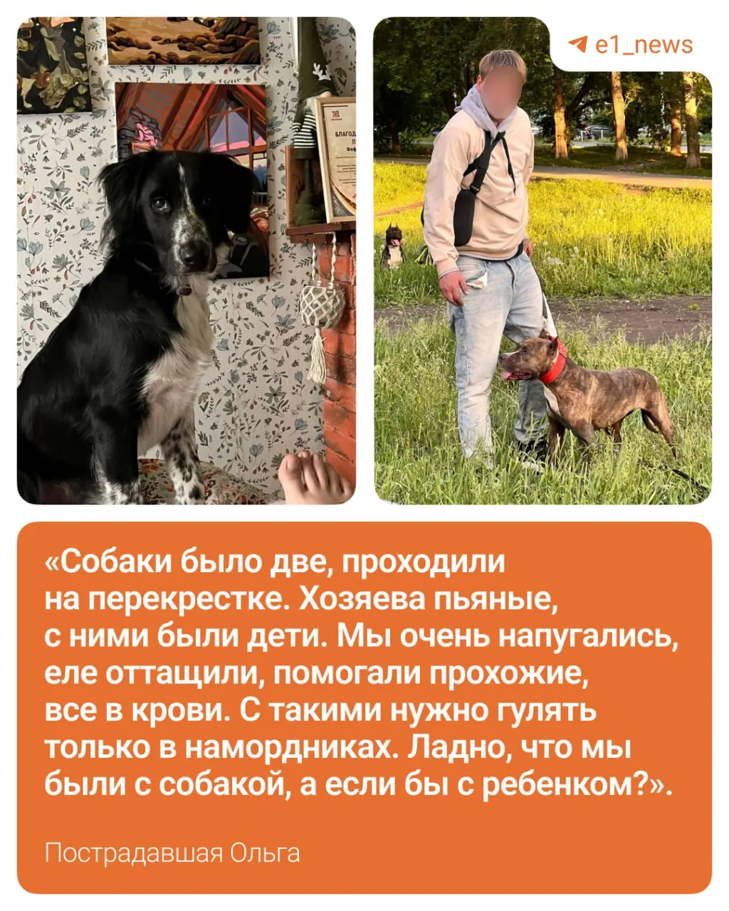 На перекрёстке Бакинских Комиссаров и Восстания в Екатеринбурге бойцовская собака напала на женщину и её щенка: щенку потребуются анализы и обследования, хозяйка обратилась в полицию.