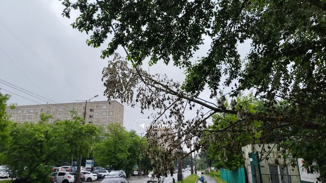 Дерево упало на линии электропередач у дома №22 и уже неделю свисает над тротуаром — жители жалуются, что аварийные службы не реагируют.