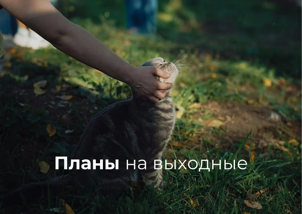 Афиша на 19–21 июня: экскурсии, спектакли, маркеты, показы матчей и семейные события в окрестностях города.