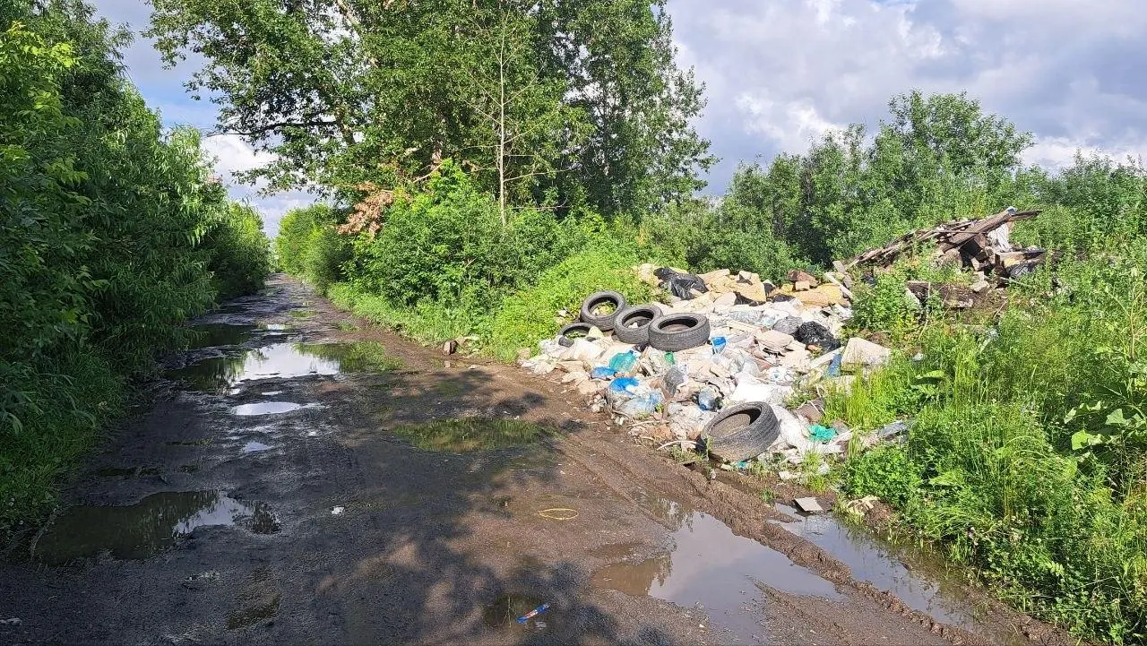 Жителей приглашают помочь убрать мусор и старые покрышки на полуострове Баран: после работы — обед и арт‑программа с мастер‑классами и музыкой. Инвентарь предоставят, участие бесплатное.