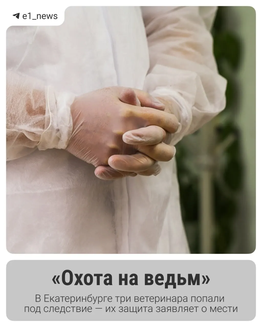 Следствие считает, что сотрудники управления ветеринарии Екатеринбурга получали взятки и игнорировали качество продаваемых товаров. Обвиняемые заявляют о своей невиновности.