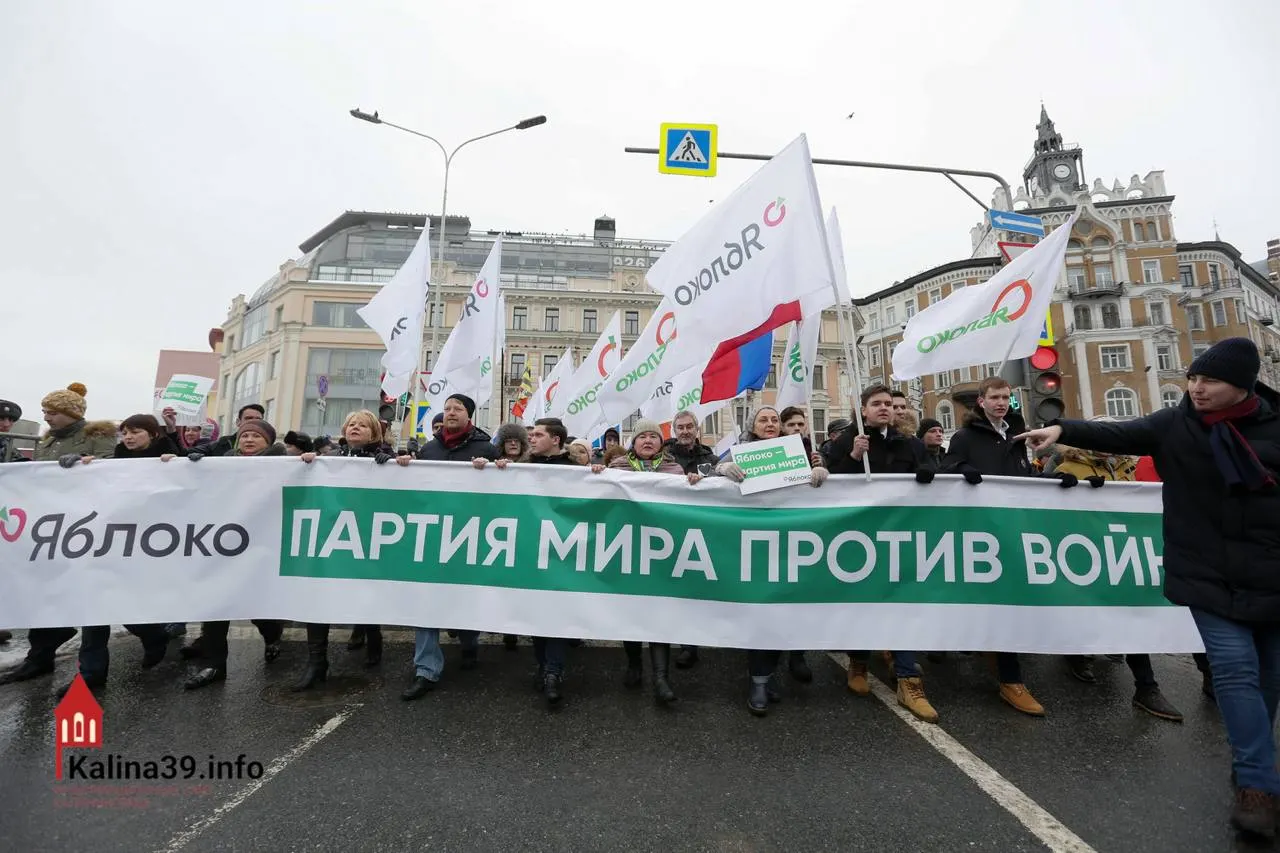 После регистрации федерального списка «Яблока» эксперты предполагают, что власти могли решить направить протестные настроения в безопасное русло. При этом многих известных членов партии не допустили к выборам — голосование остаётся одной из немногих легальных возможностей выразить позицию.