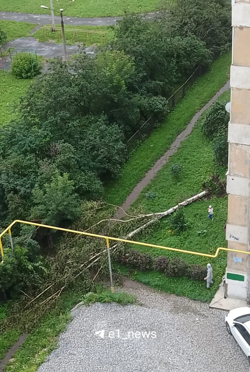 Ночная гроза повалила дерево на улице Онуфриева, по городу образовались большие лужи, в некоторых районах наблюдаются перебои с электричеством.