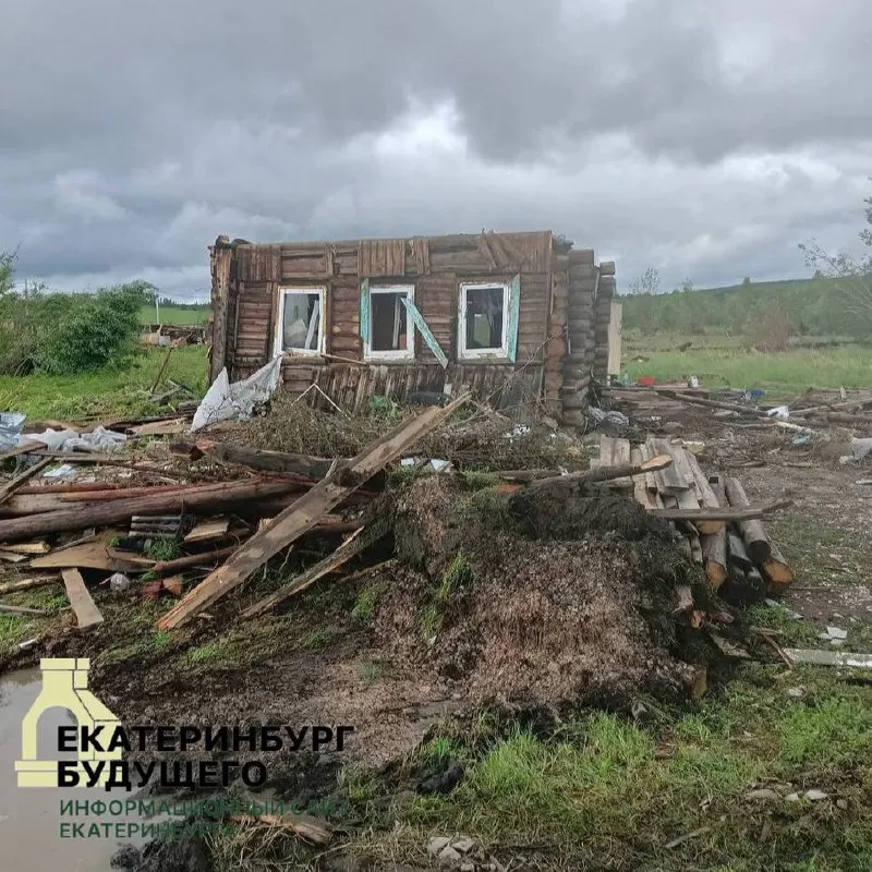 Во время урагана будку с собакой унесло в лес. Животное выбралось, вернулось к разрушенному дому и дождалось людей — местные опубликовали её фото, хозяева узнали питомца и приехали за ним.