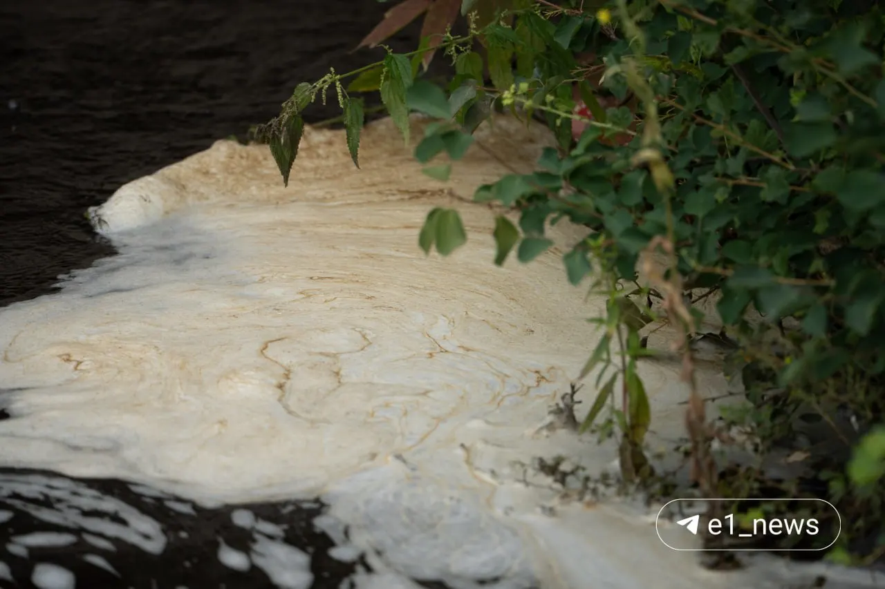 Доцент кафедры водного хозяйства и технологии воды УрФУ Дмитрий Клименко связывает мутность и пену на Исети с недавним паводком: дожди смыли глинистые и железистые взвеси с притоков, и они ушли в русло водохранилища.