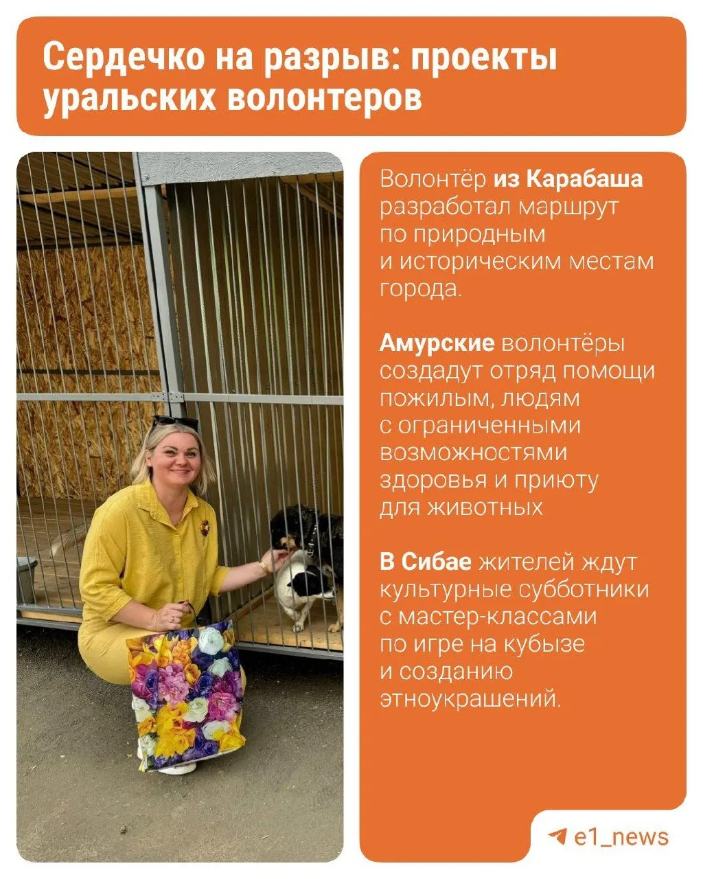 Найденные у подъезда котята стали началом волонтёрской инициативы: в Алапаевске организовали передержки для более 100 животных, волонтёры кормят, лечат и строят вольеры.