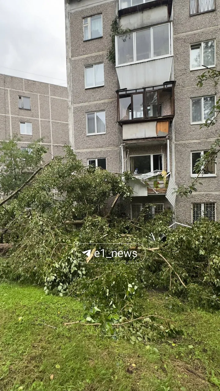 Порывы ветра повалили дерево у дома на Заводской, 46 — ствол рухнул прямо на балконы. Читатели прислали кадры с места событий.