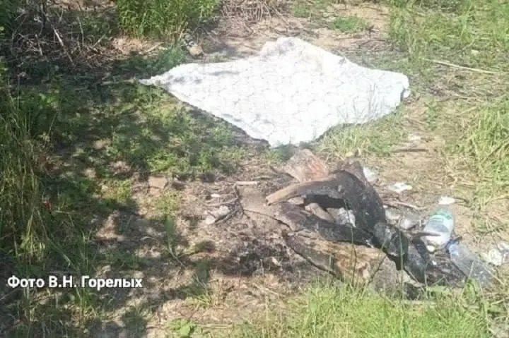 Мужчины занесли в палатку туристическую плитку, почувствовали запах газа и попытались проверить зажигалкой — произошёл хлопок, палатка сгорела, пострадавших госпитализировали.