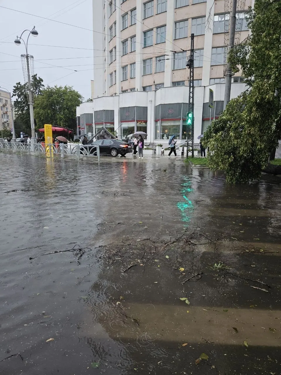 В центре Екатеринбурга из‑за сильного ливня и порывов ветра деревья упали на проезжую часть и контактную сеть, что привело к задержкам трамвайного и троллейбусного движения.