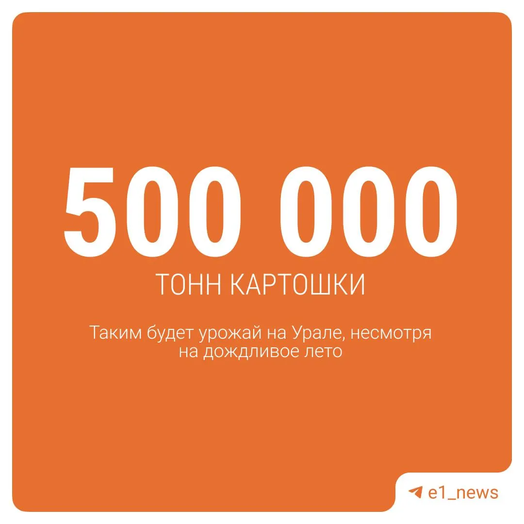 Ожидаются хорошие урожаи картофеля, свёклы, моркови и капусты; общий сбор зерновых может достичь 600 тысяч тонн.