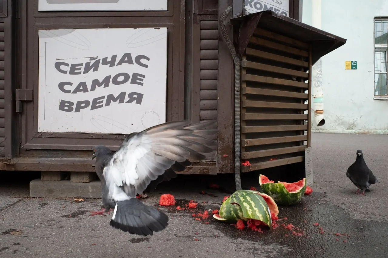 В Петербурге и Ленобласти штраф за антивоенную позицию священника; панихиды в День памяти; в России и мире — политические столкновения и изменения в Минобороны.