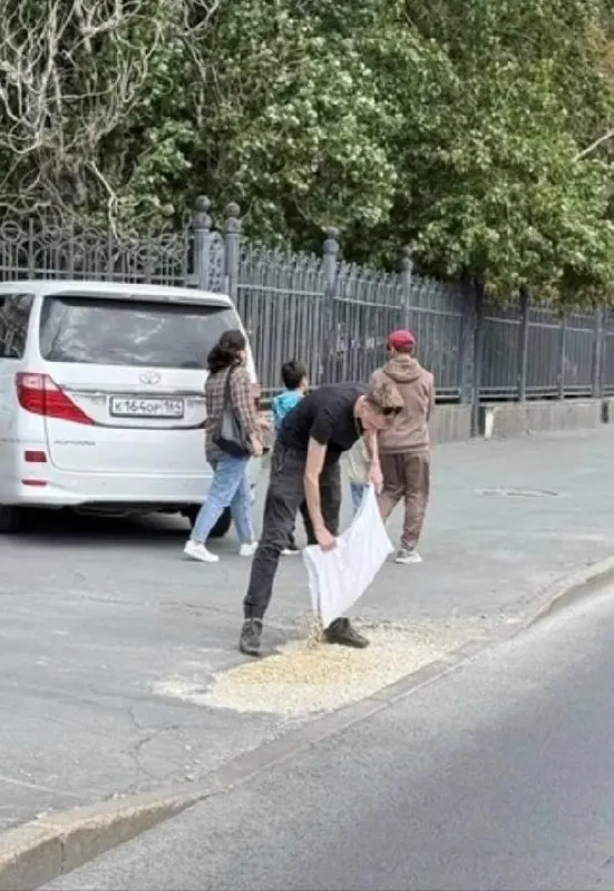 Автолюбитель лично засыпал дорожную яму на улице Московской рядом с мэрией и областным правительством, объясняя бездействие городских служб.