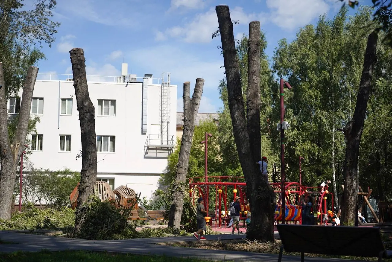 Активисты жалуются на радикальное кронирование вокруг детской площадки: спилено около десяти деревьев, что вызывает волну возмущения.