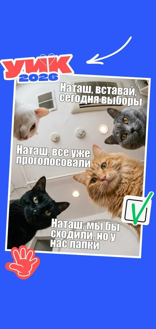 Коротко о датах голосования, кто может участвовать, какие документы пригодятся и пара мемов для поднятия настроения.