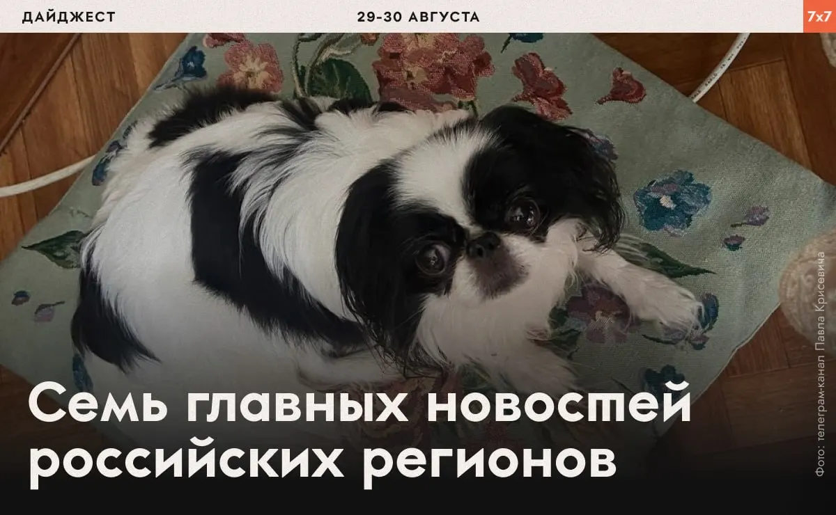 Краткий обзор региональной повестки: аресты, выборы, запреты и активизм.
