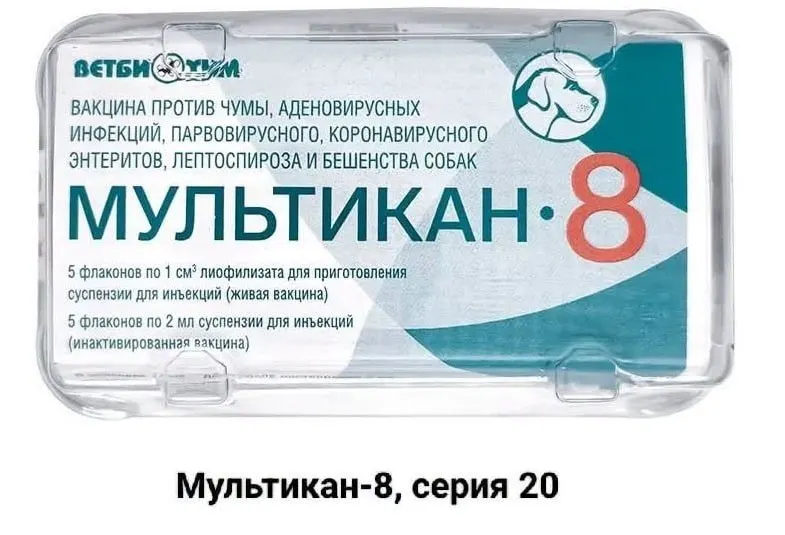 Владельцы животных, погибших после вакцинации препаратом «Мультикан‑8», требуют независимого расследования и открытости причин смертей, зафиксированных в нескольких регионах.