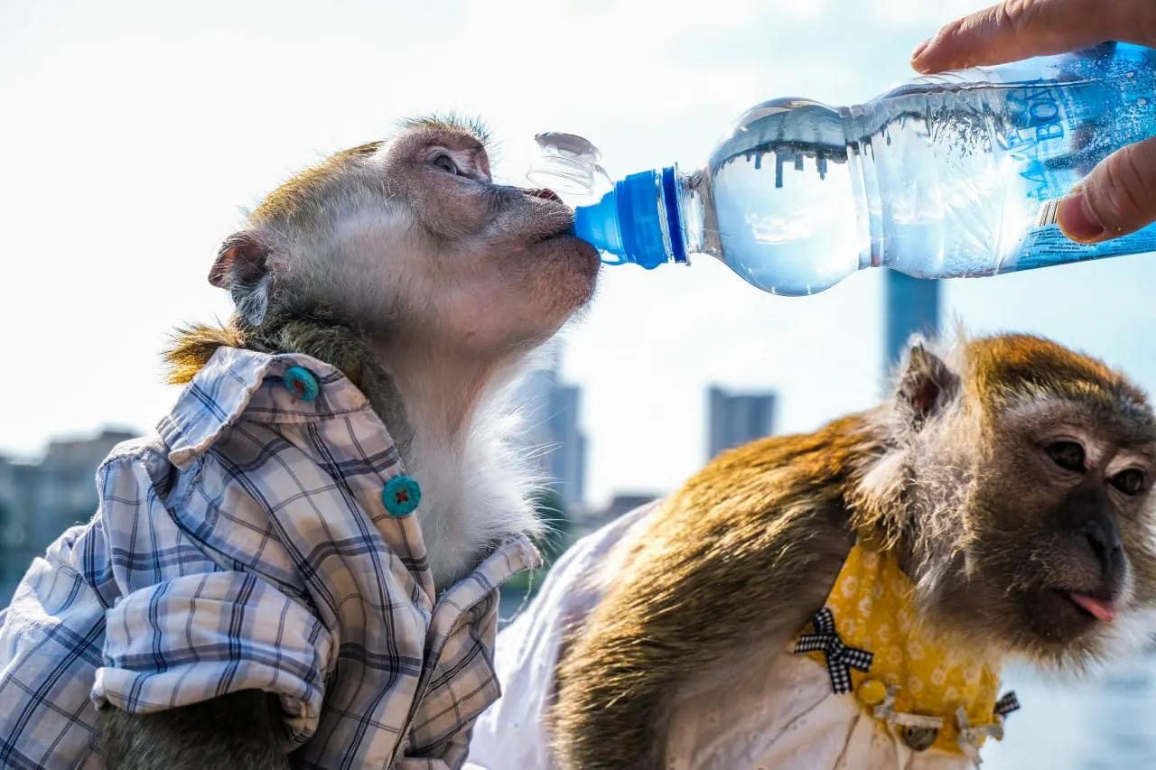 Июль на Урале стал самым жарким за всю историю наблюдений: в УрФО температура превысила норму на 2–3 градуса, а в Свердловской области достигала 36–38°C; сопутствовали ливни и грозы.
