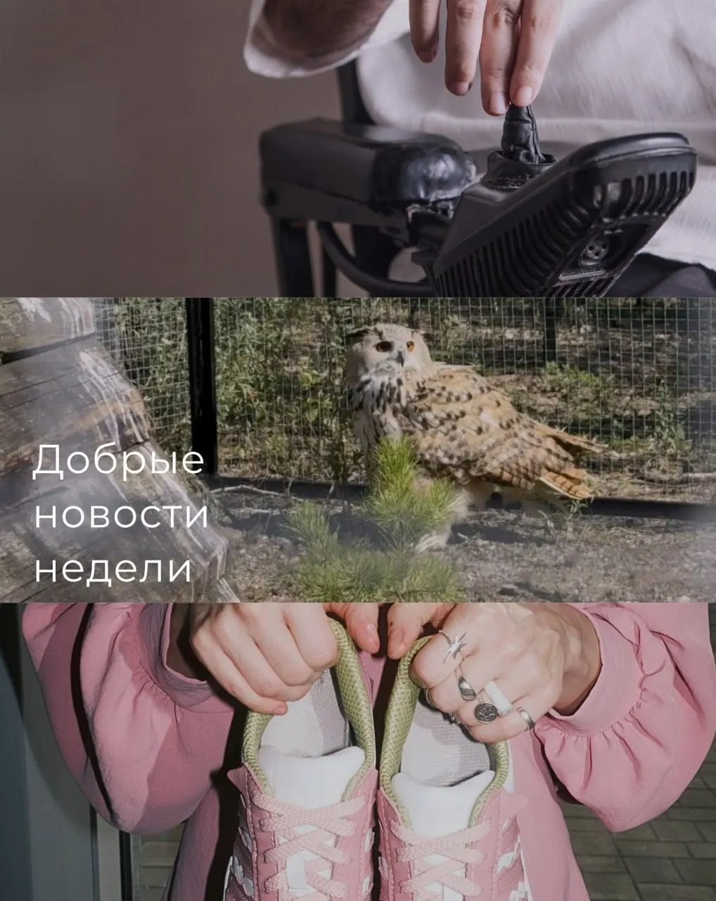 Сводка событий Свердловской области: спортивные результаты, необычные урожаи и свежие модные тенденции.