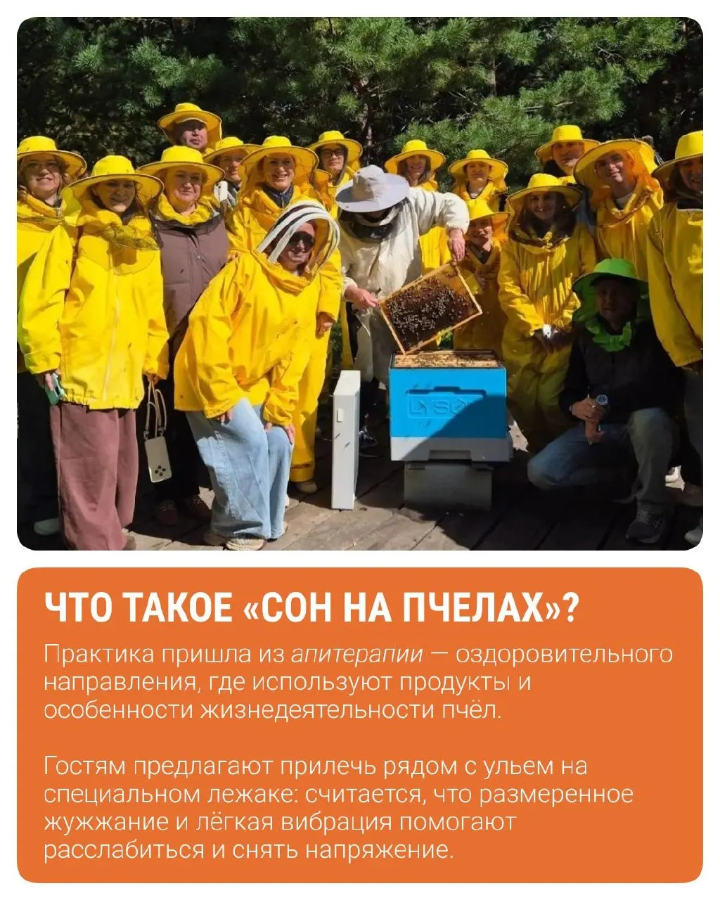 В эко-комплексе «Уральская пчелка» предлагают ночёвку среди ульев — законный и необычный вид отдыха; инициатива связана с агротуризмом и мероприятием всероссийской школы.