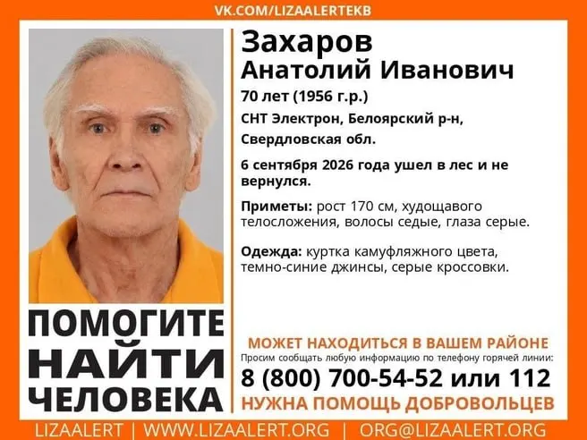 70-летний Анатолий Захаров исчез в лесу во время похода за опятами; ведутся поиски.