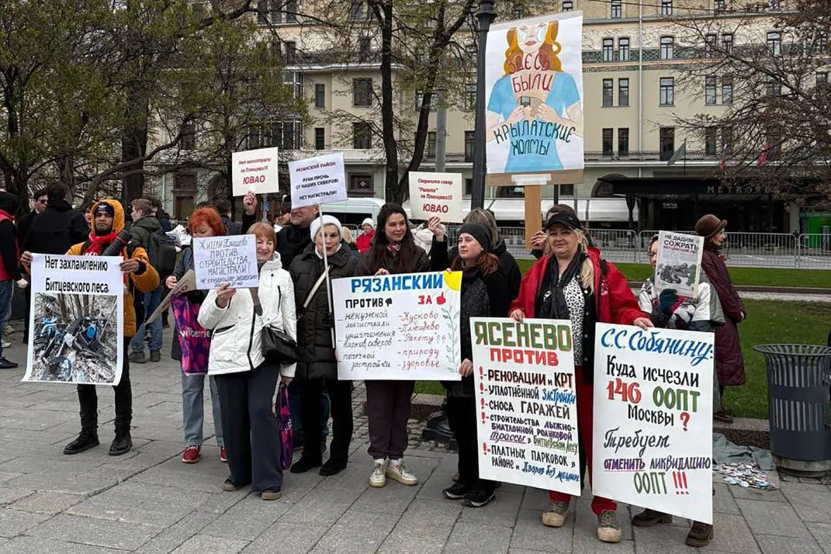 Размышления о роли экологических партий в стране и их влиянии на повестку дня.