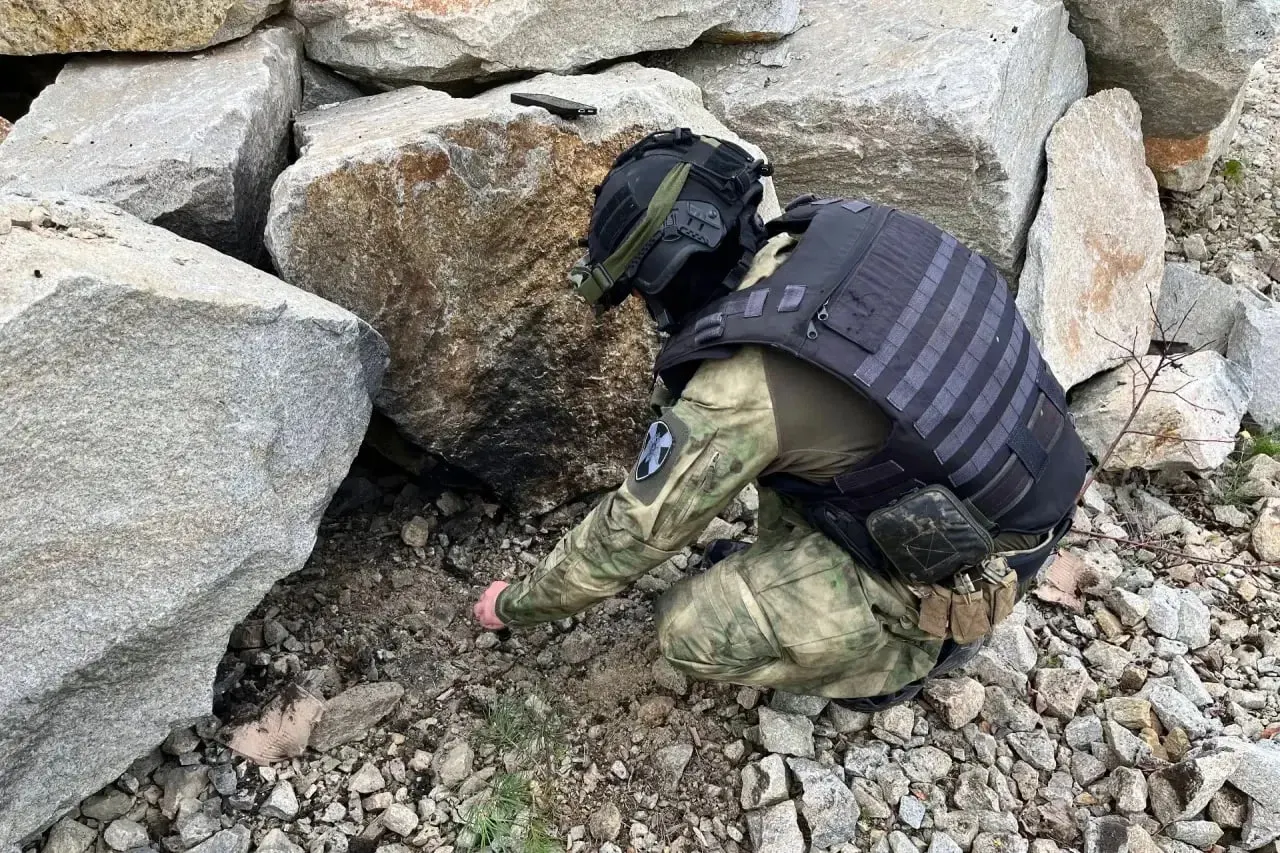 Хозяин палисадника нашел боеприпас немецкого происхождения; группа разминирования ликвидировала опасный боеприпас.