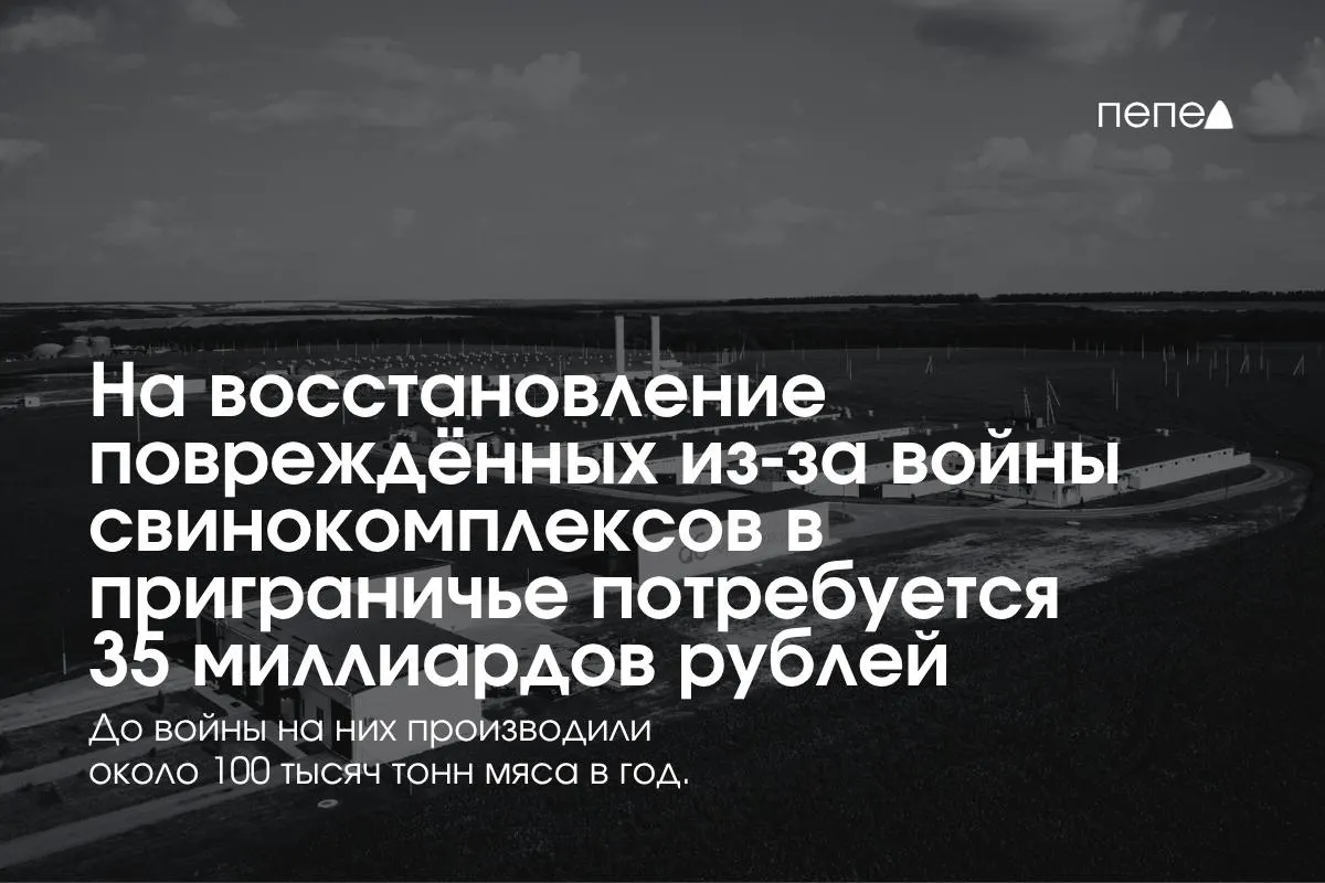 Восстановление пострадавших предприятий потребует значительных инвестиций; регионы на границе вносят существенный вклад в мясной сектор страны.