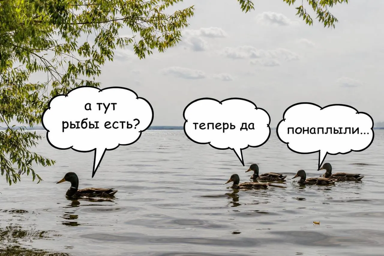 Мероприятие направлено на снижение цветения водорослей и сохранение экосистемы водохранилища, обеспечивающего водоснабжение города.