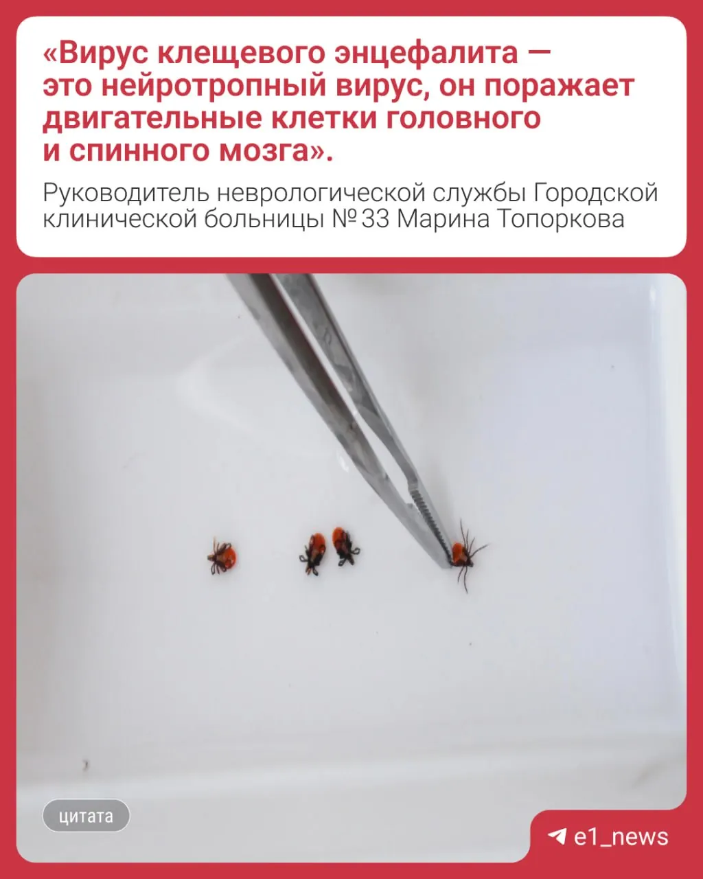 В Свердловской области зафиксированы четыре смертельных случая после укусов клещей. Двое погибших — жители Екатеринбурга, им было 39 и 87 лет. Все четверо не были привиты против клещевого энцефалита; сезон клещей продолжается, последний зафиксированный факт — 20 октября.