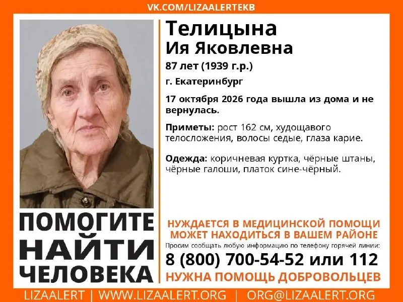 Полиция и волонтёры-поисковики просят свидетелей сообщить любую информацию о пропавшей Ия Телицыной, исчезнувшей 17 октября.