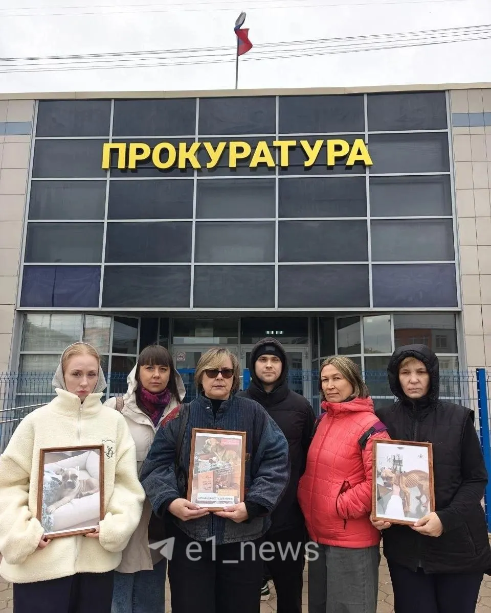 В Верхней Пышме возбуждено уголовное дело по факту жестокого обращения с собакой по кличке Мэгги; владелица держала животное в клетке, что привело к смерти.