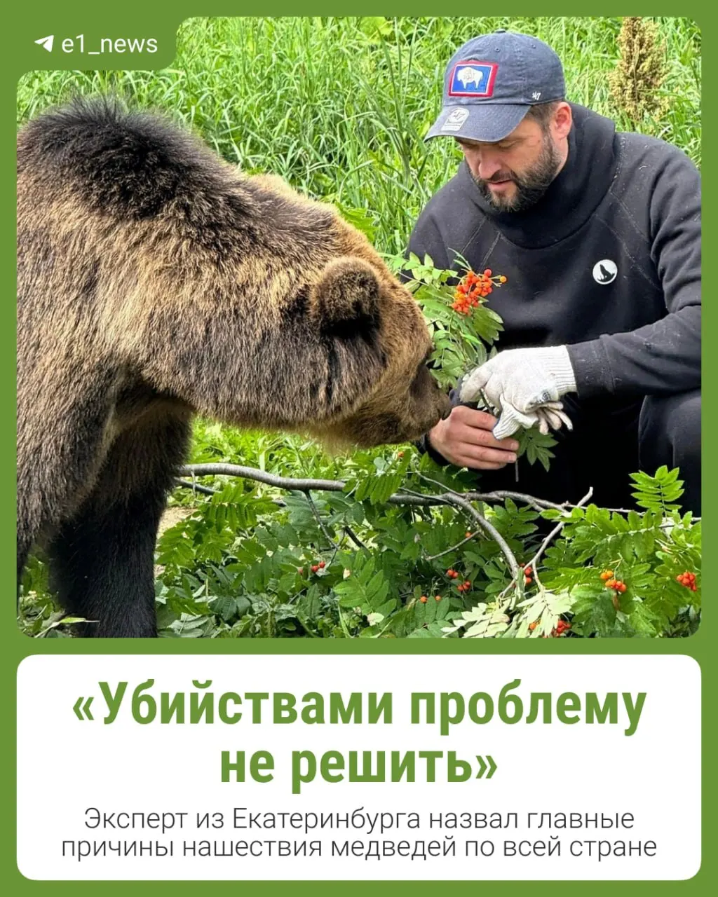 Эколог выступает против охоты и предлагает альтернативы решения проблемы медведей в Свердловской области.