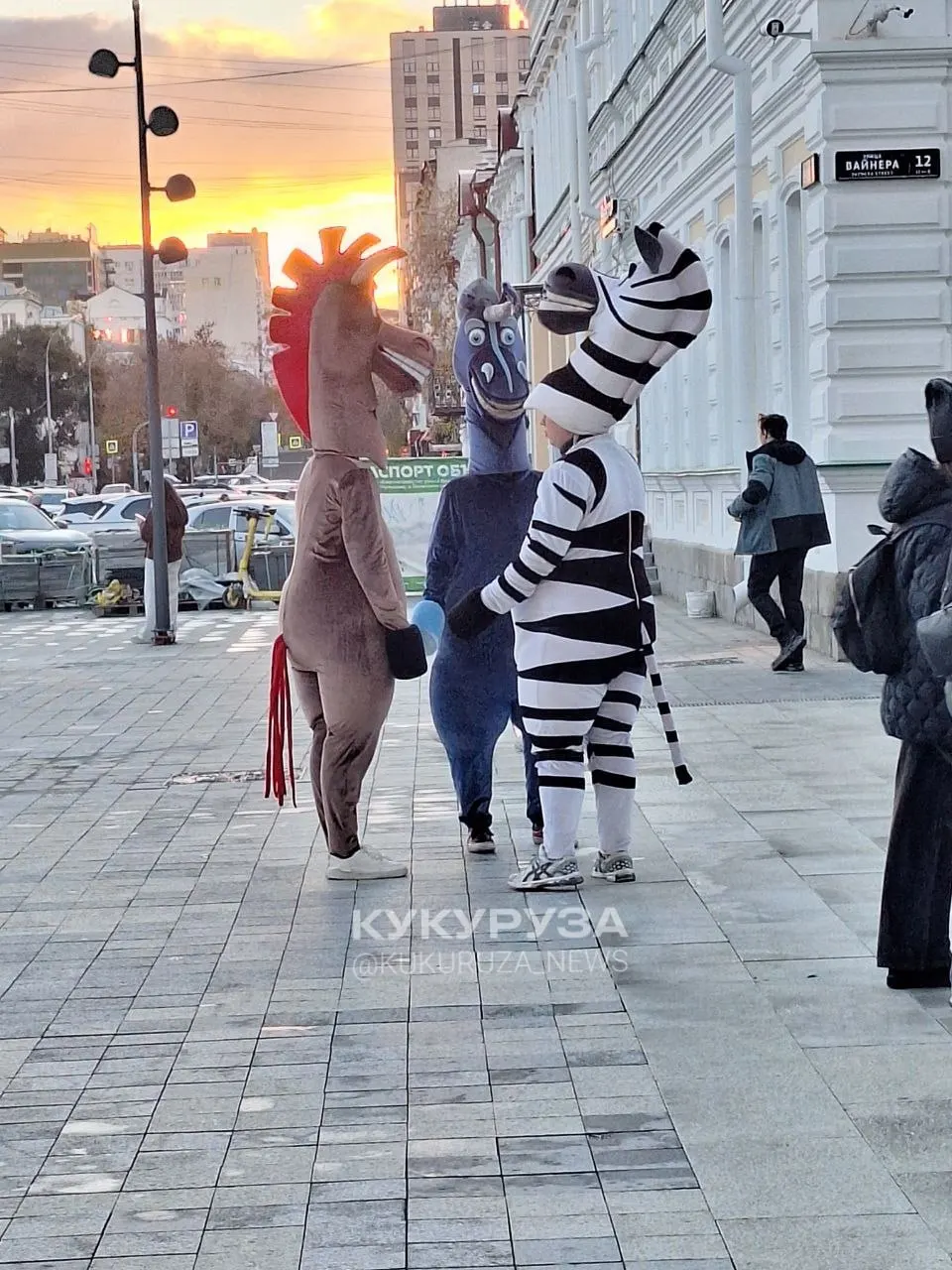 Местные жители жалуются на людей в костюмах мультяшных персонажей, которые фотографируются с семьями и требуют деньги за снимки, угрожая удалить кадры.